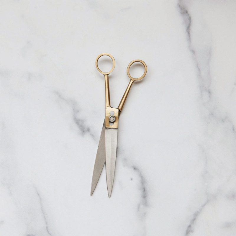 small brass shear