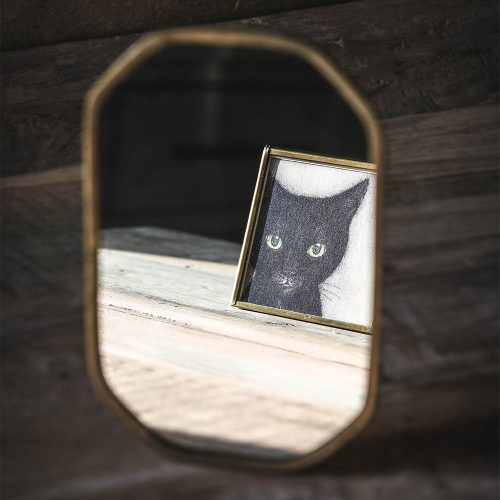 textured standing brass mirror4