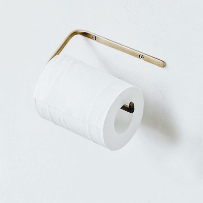 toilet paprer holder brass1