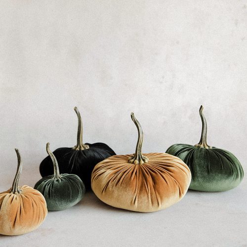 velevt pumpkins