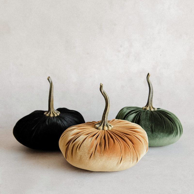 velevt pumpkins1