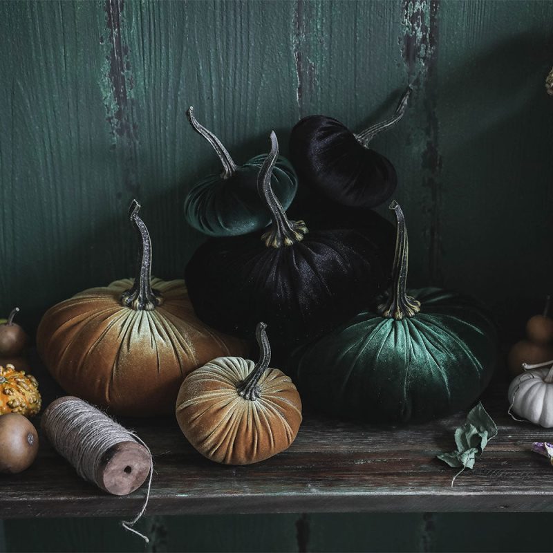 velevt pumpkins12