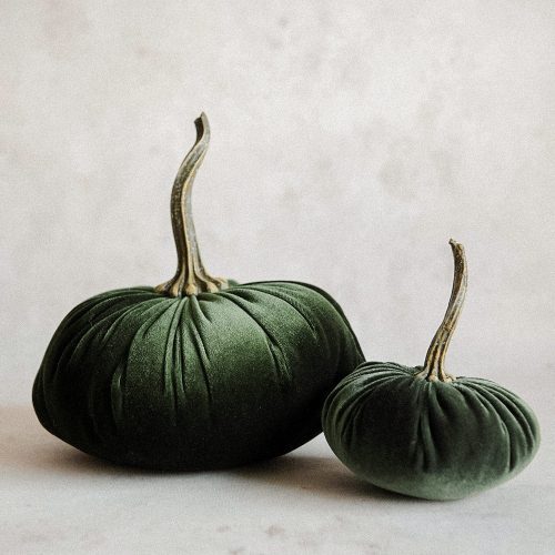 velevt pumpkins3