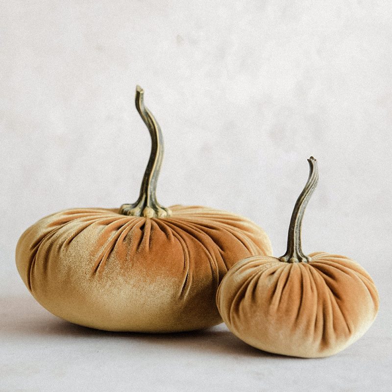 velevt pumpkins4