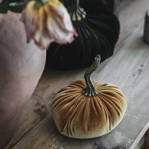 velevt pumpkins7