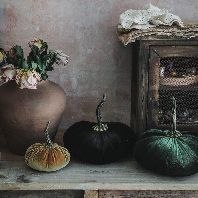 velevt pumpkins8